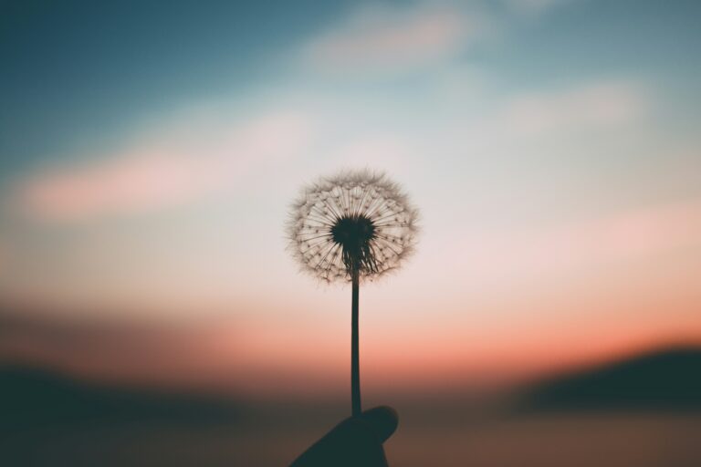 Immagine in evidenza di Hello World