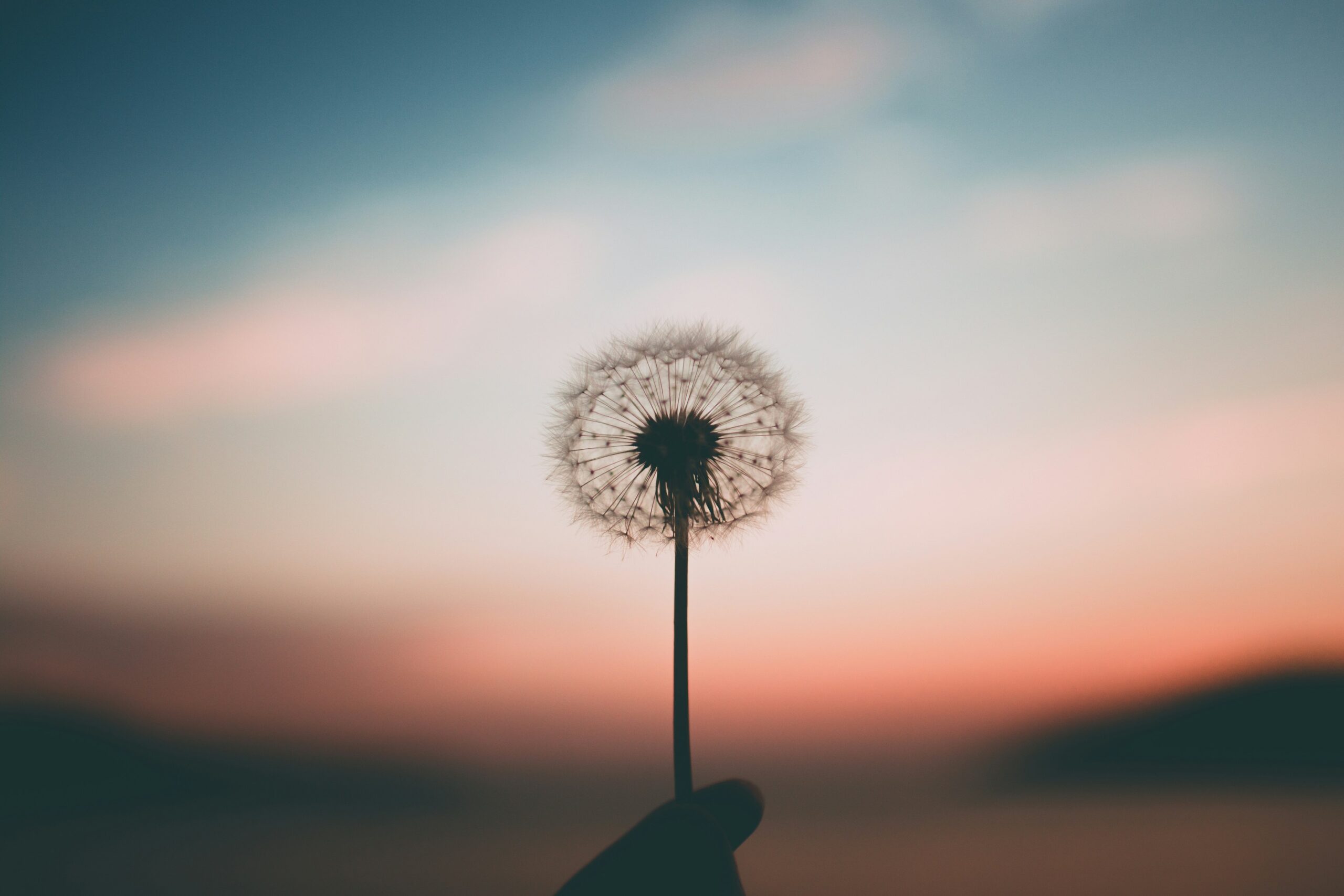 Immagine in evidenza di Hello World